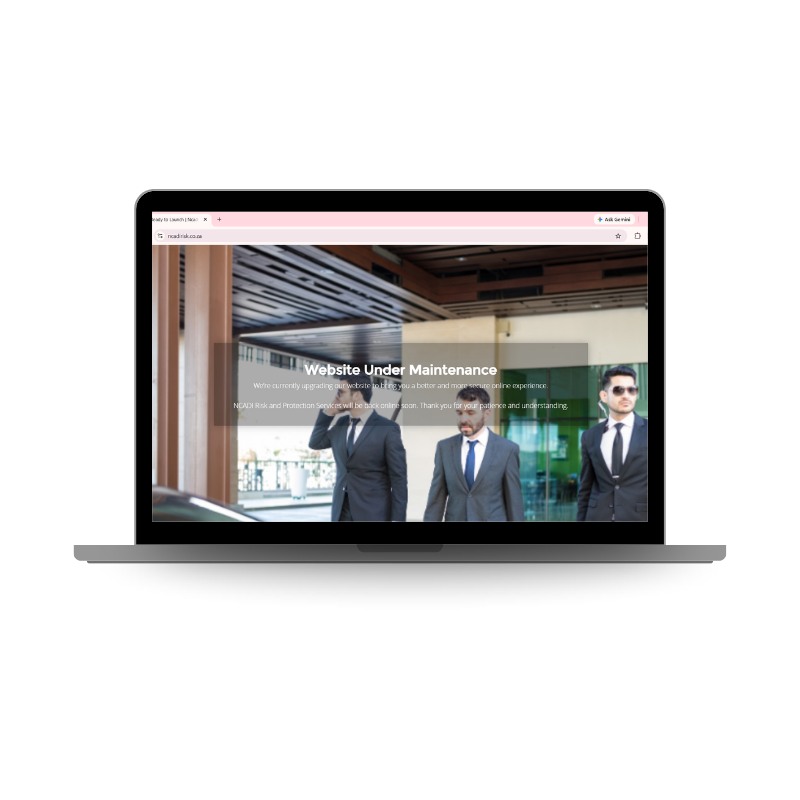 NCADI Risk and Protection Services Website